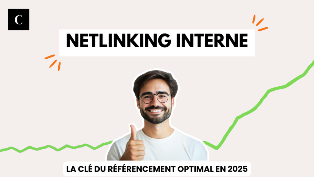 Netlinking interne 1